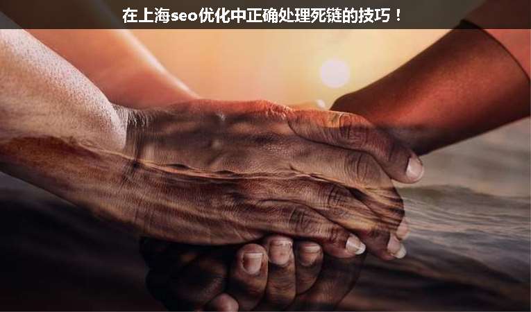在上海seo優(yōu)化中正確處理死鏈的技巧！