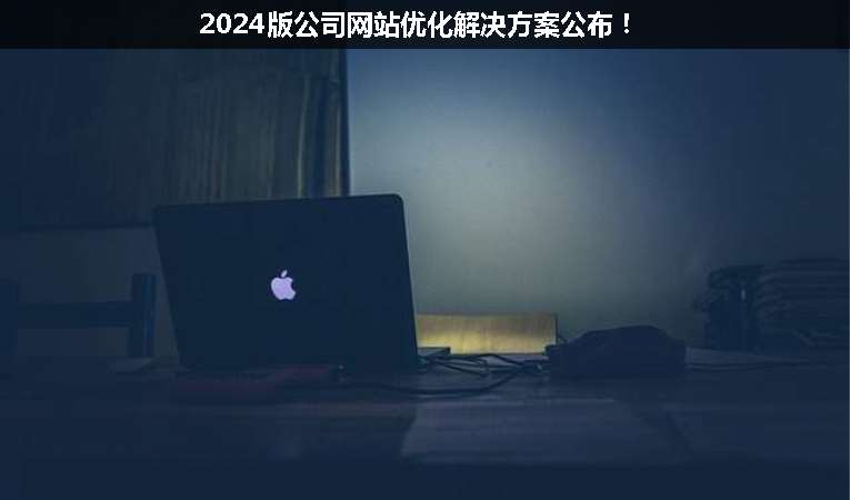 2024版公司網(wǎng)站優(yōu)化解決方案公布！