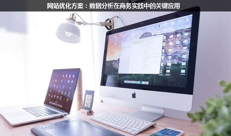 網(wǎng)站優(yōu)化方案：數(shù)據(jù)分析在商務(wù)實踐中的關(guān)鍵應(yīng)用