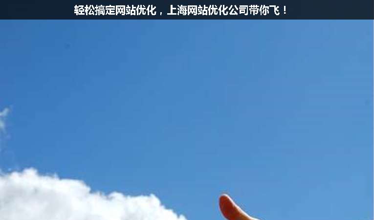 輕松搞定網(wǎng)站優(yōu)化，上海網(wǎng)站優(yōu)化公司帶你飛！