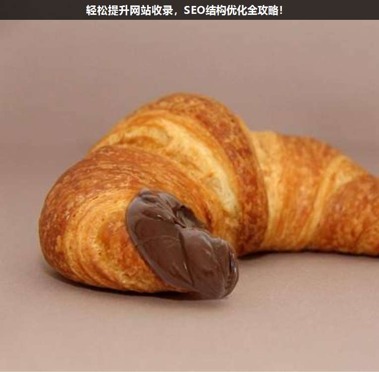 輕松提升網(wǎng)站收錄,SEO結(jié)構(gòu)優(yōu)化全攻略!