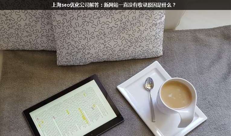 上海seo優(yōu)化公司解答：新網(wǎng)站一直沒有收錄原因是什么？
